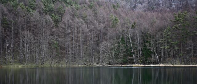 御射鹿池（みしゃかいけ）の絶景を楽しむハイキング｜特急あずさで行く