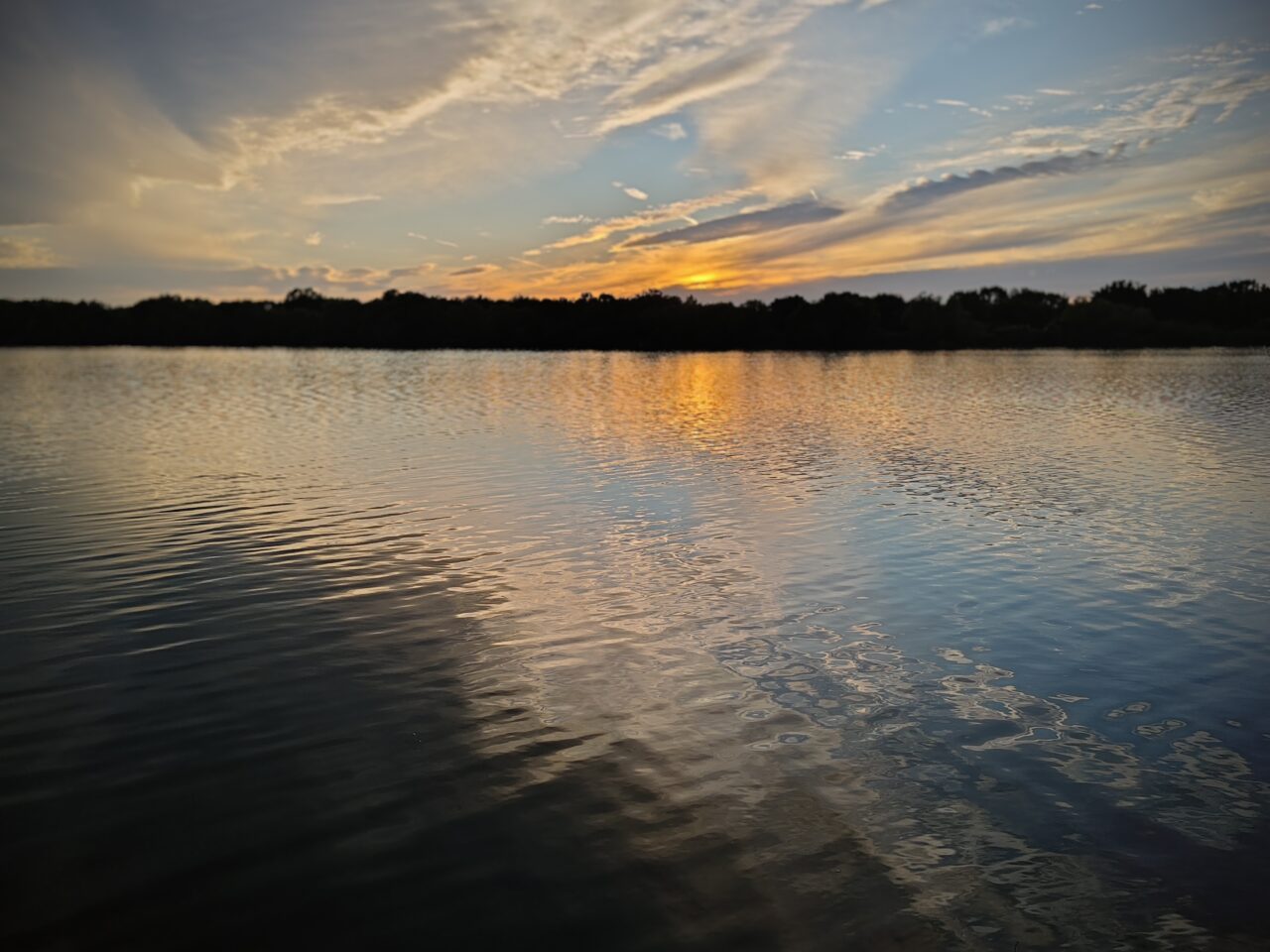 彩湖ウォーキング