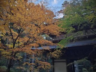 湘南ドライブコース｜大雄山最乗寺とあしがらの温泉