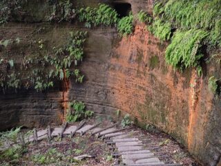 徳川家康の鷹狩りコースでウォーキング