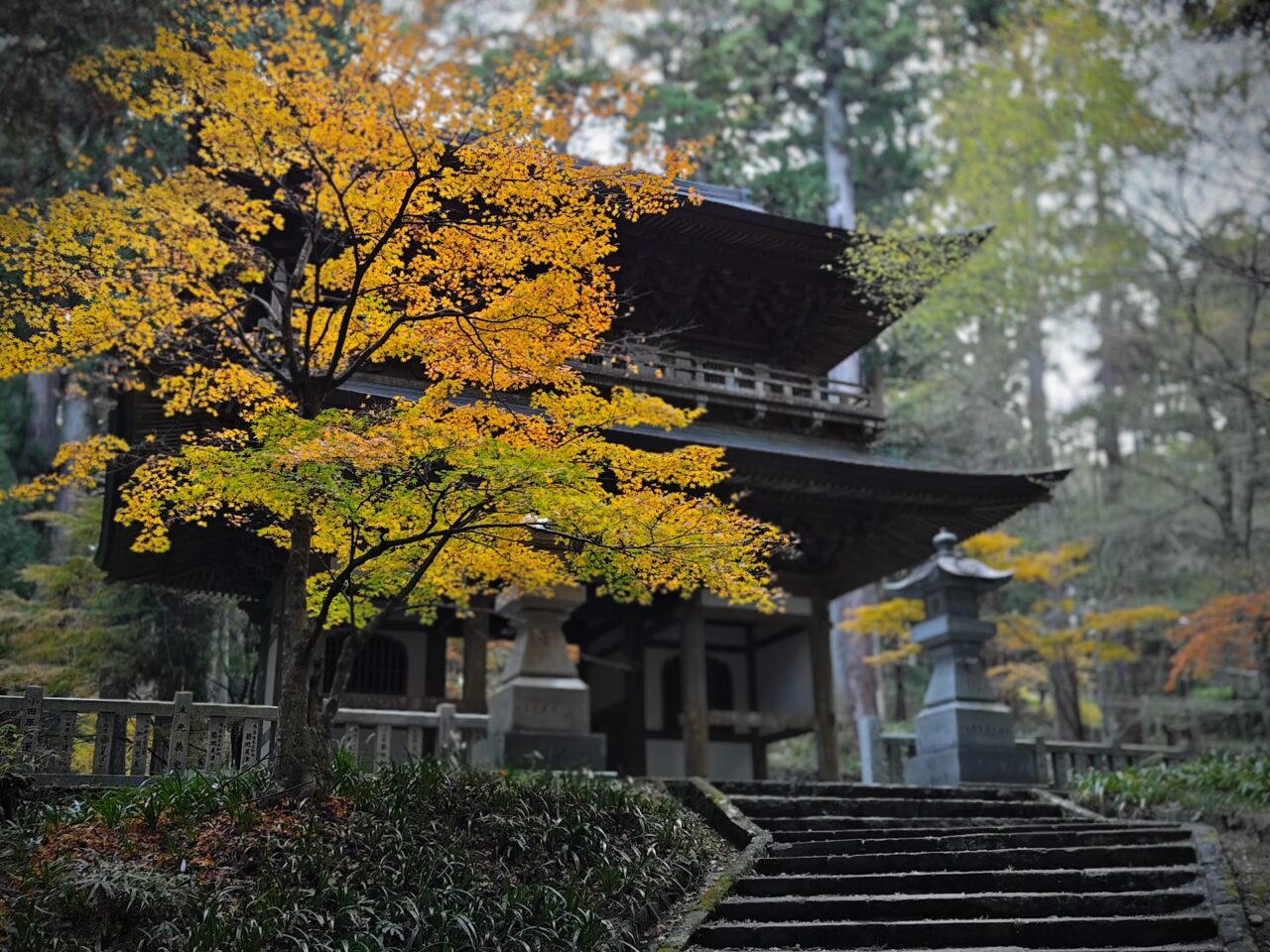 自然との20分が、心と体を整える──科学が示す4つの効果