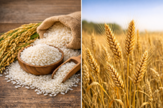 イランとの戦争による輸送の混乱で、インドの肥料供給が逼迫している