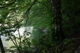 自然が整える眠り：キャンプが体内時計に与える静かな力