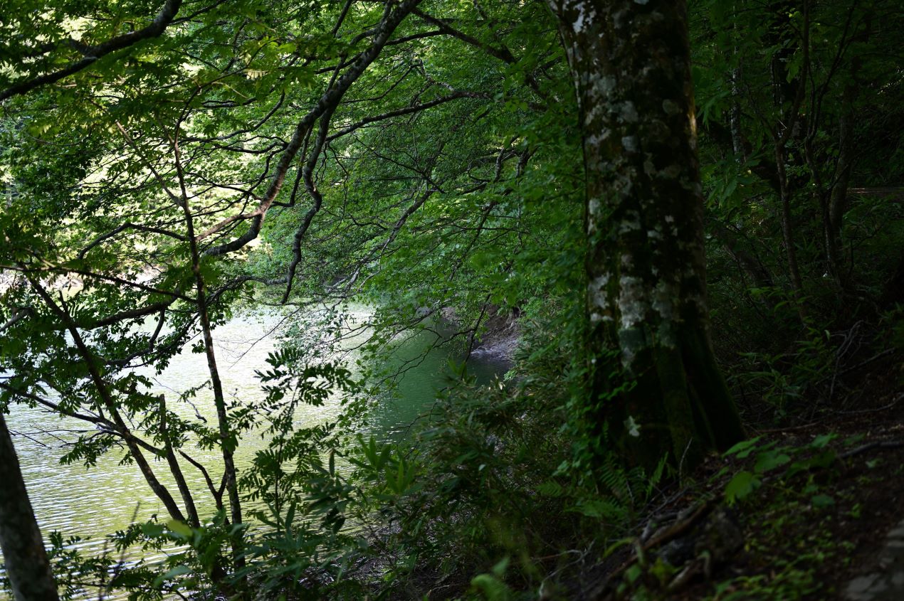 自然が整える眠り：キャンプが体内時計に与える静かな力